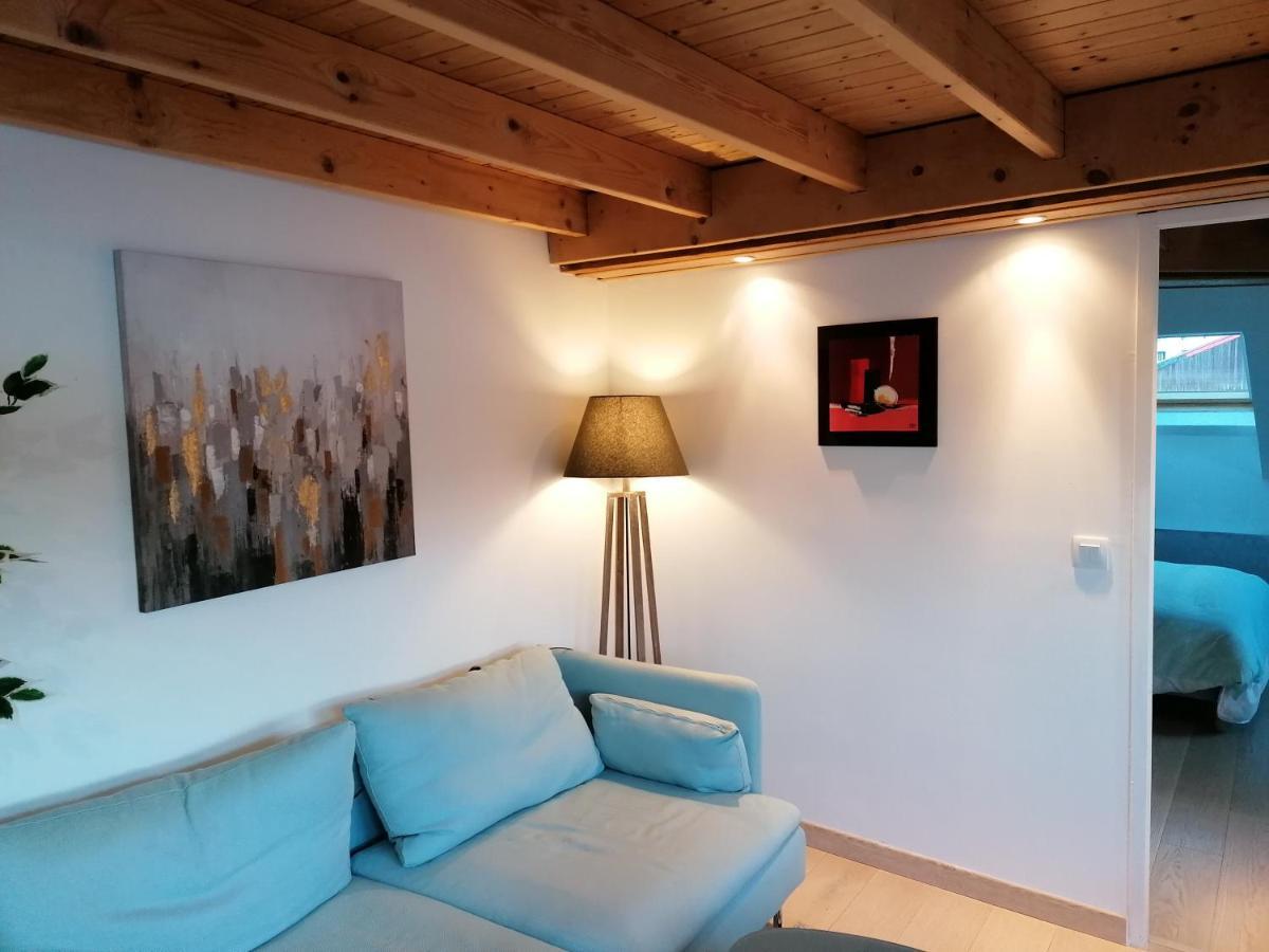 Le Panorama Apartment Voiron Luaran gambar